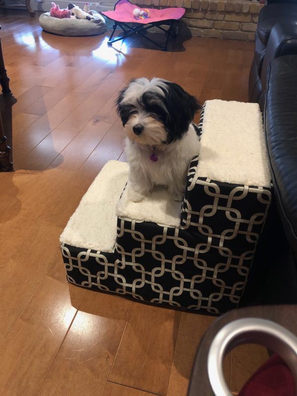 Ivy loves it