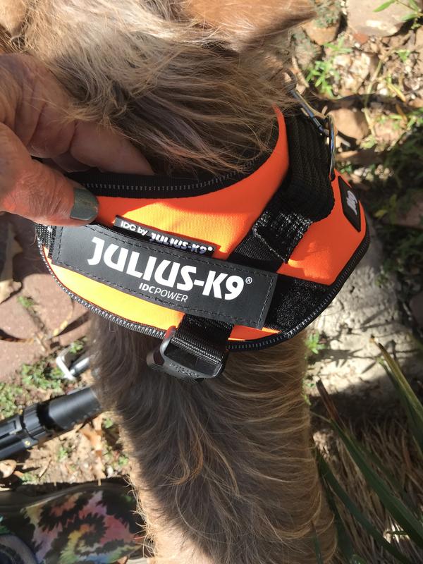 Julius K9 UV Orange Dog Harness 3X Small Petco