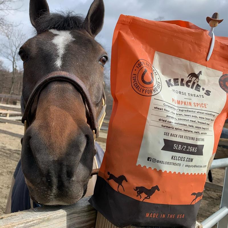 Kelcie's Pumpkin Spice Natural Horse & Dog Treats 15 lbs
