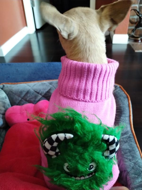 The turtleneck is thick and the material is soft and warm for the cooler months to come so she will wear it past October!