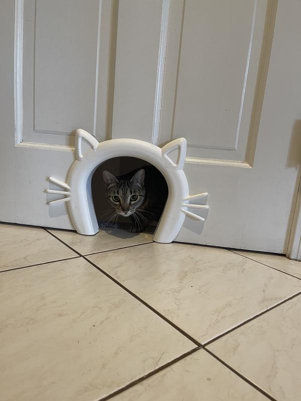 Petco cat outlet door