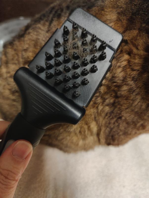 Plastic Free Two-Sided Dog Brush – The Zeroish Co.