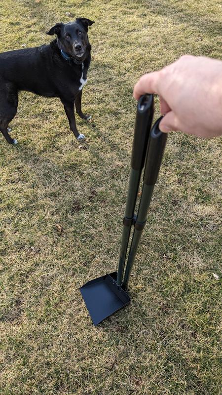 So Phresh Rake and Scoop Set for Dogs, Large