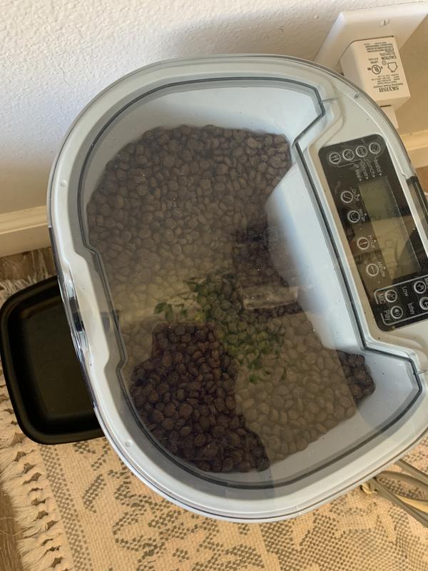 Kibble size