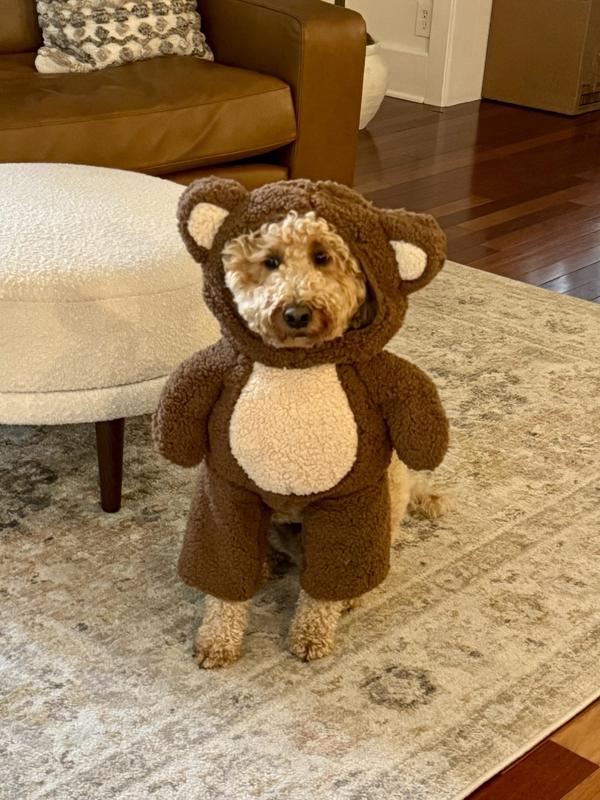 Binkley the Teddy Bear