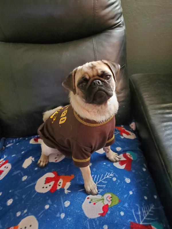 San Diego Padres MLB Dog Jersey V1