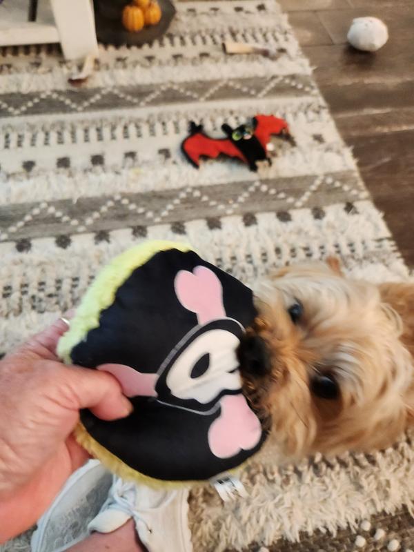 Photo - commentaire&nbsp;8.