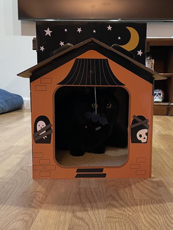 Target Is Selling Haunted House Cat Scratchers So They Can Get In On All  The Spooky Fun