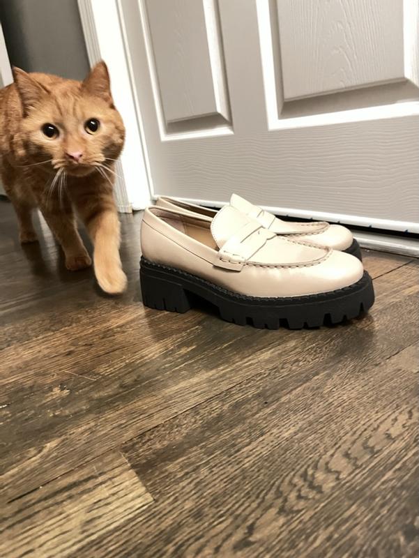 The kitty in question