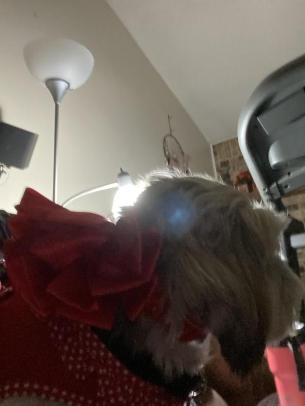 Photo - commentaire&nbsp;7.