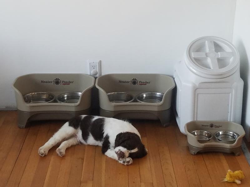 Petco neater feeder deals