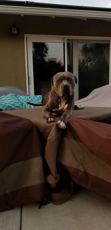 Tyson