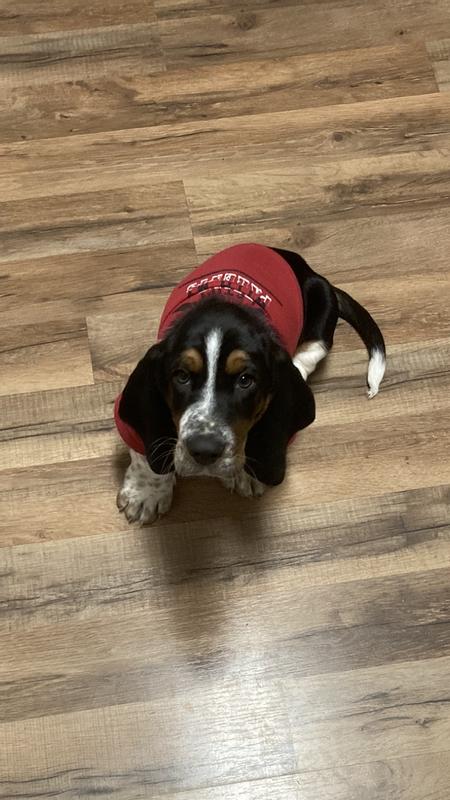 Photo - commentaire&nbsp;3.