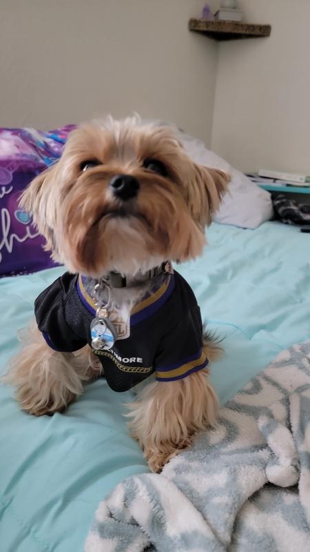 Nfl Pet Gear Store -  1695727348