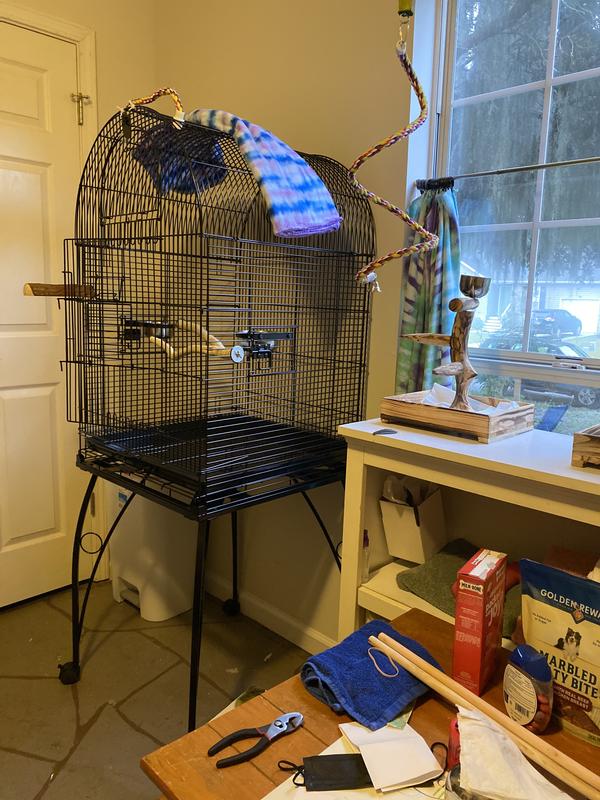 Cockatiel cage deals with stand