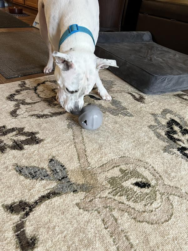 Reddy Grey Occupy Dispenser Dog Toy, Medium Petco