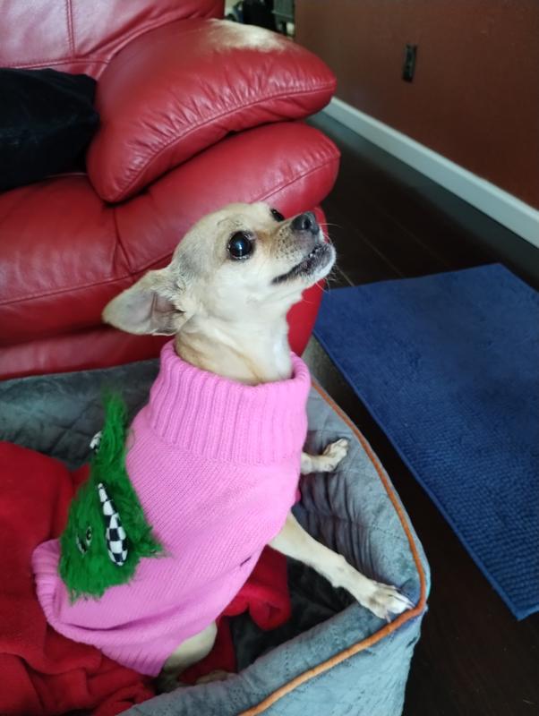 To give her a comfortable fit, I purchased the Small so it wouldn’t be too snug.  It fits her well and is easy to dress her since the leg holes are cut long.