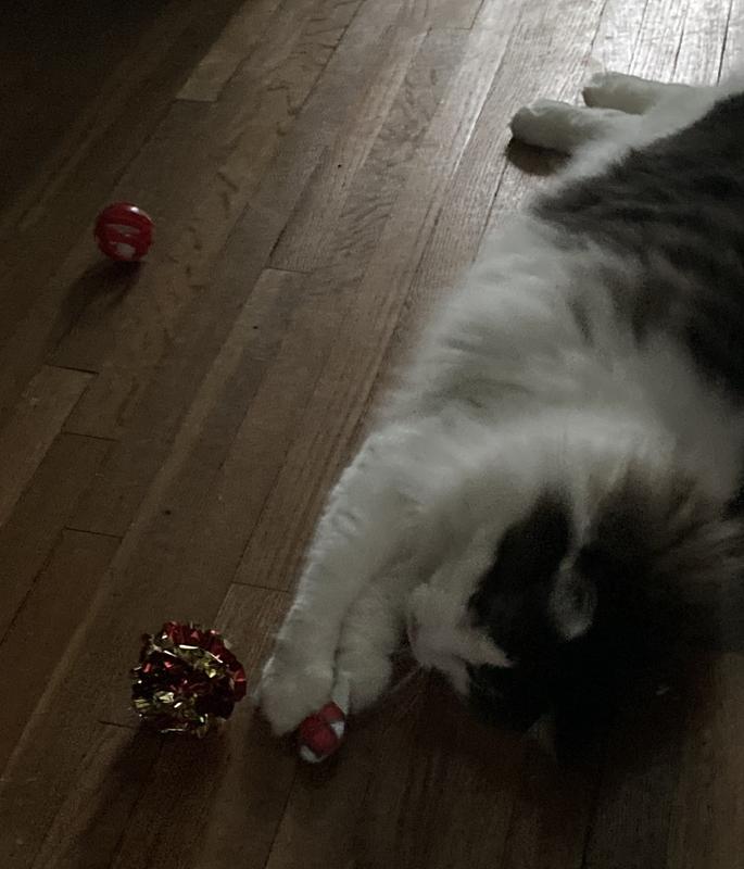 The Messless Indoor Snowball Fight