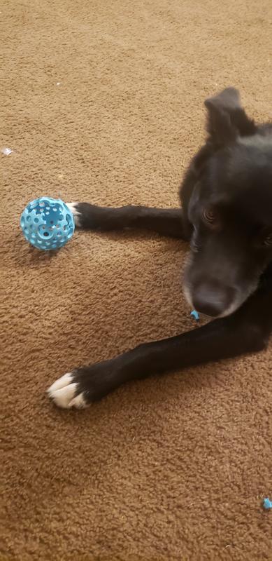 My new ball