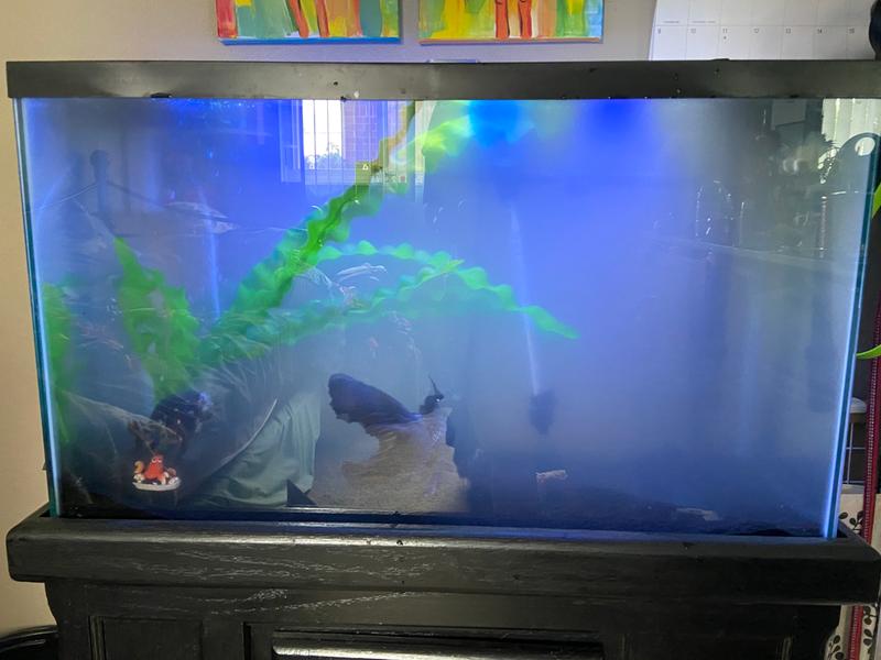 imagitarium black aquarium sand