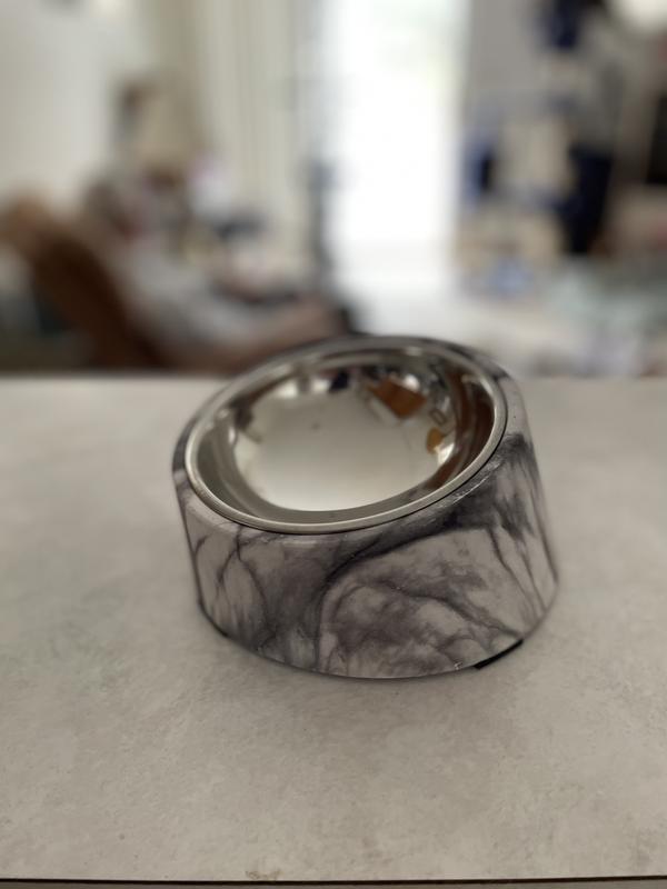 EveryYay Dining In Slanted Marble-Print Base and Stainless-Steel Dog Bowl  Set, 0.7 Cup