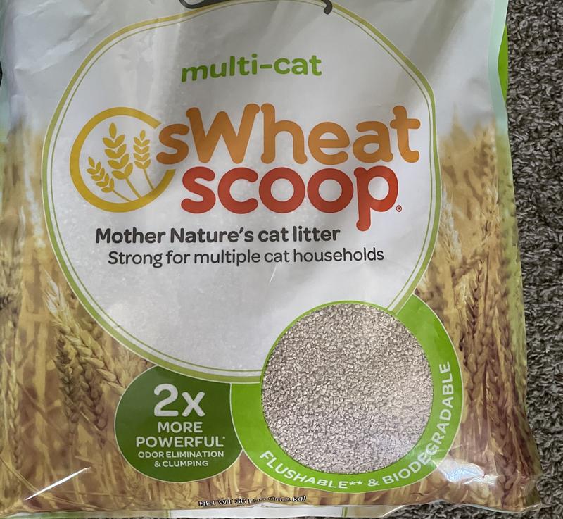 Swheat scoop outlet litter