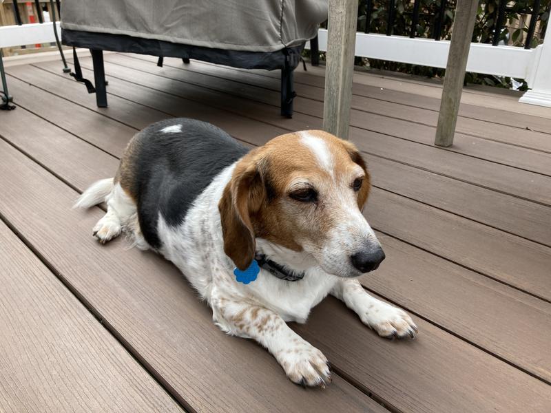 My baby boy catching the rays
