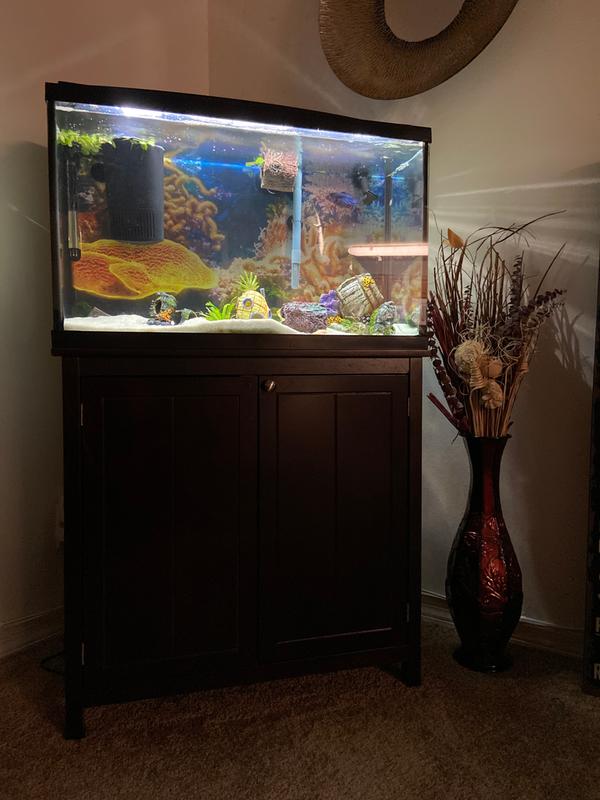 29 gallon aquarium stand petco