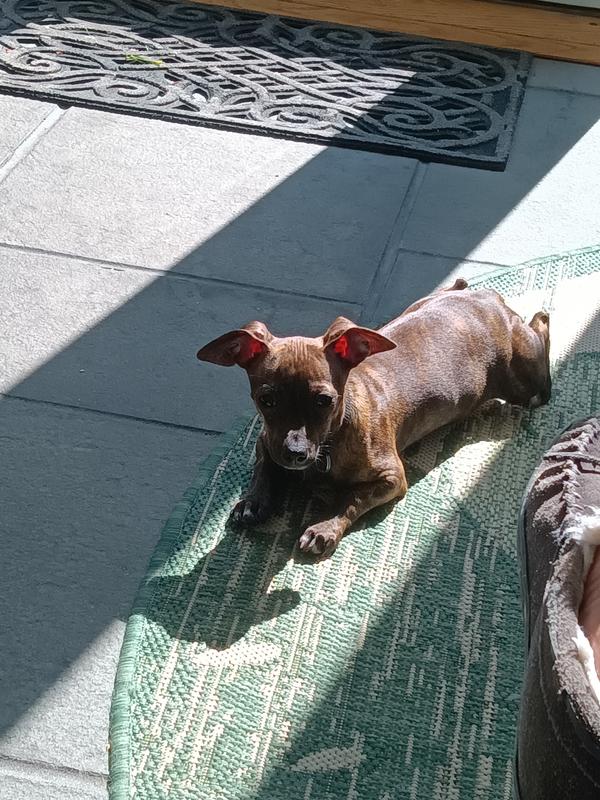 RASCAL 5 months