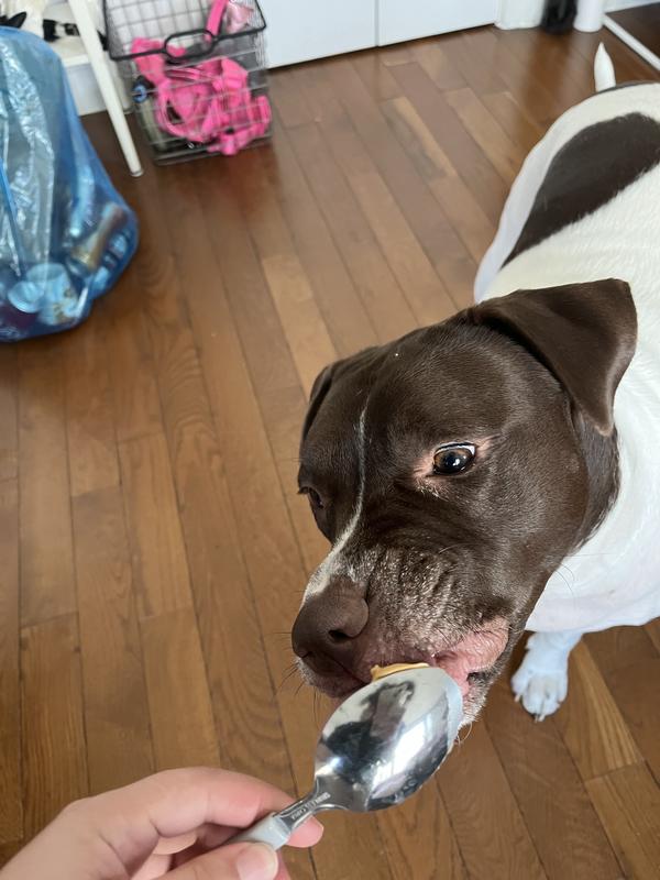 Well & Good Dog Omega3 Oil Gel Capsules, Count of 120 Petco