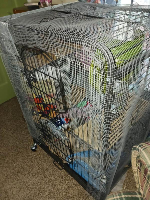 Before / After reinforcement not Rat Proof