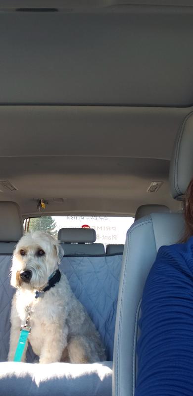 PetSafe Happy Ride Car Seat Dog Bed Bucket