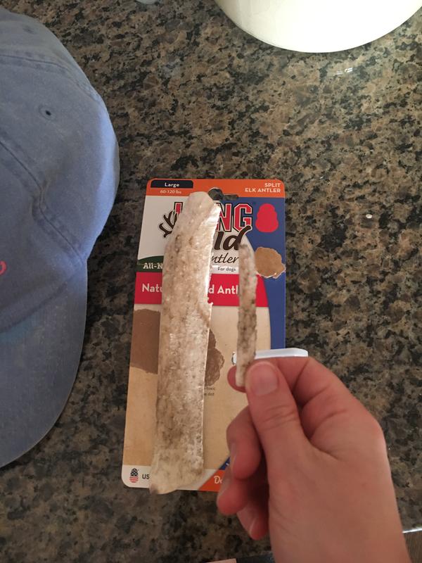 Splinter next to "large" bone