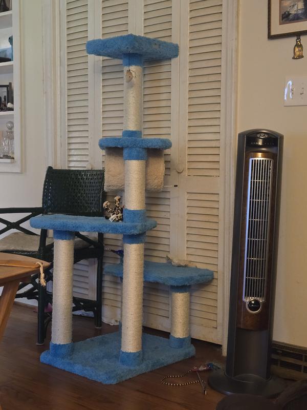 Cat tree in the living room