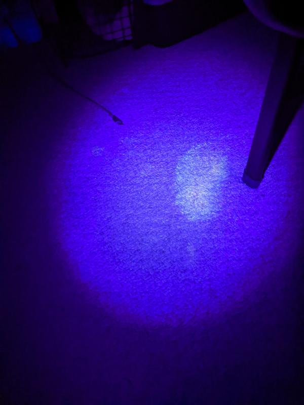 Simple Solution Spot Spot Détecteur durine pour animal domestique UV LED