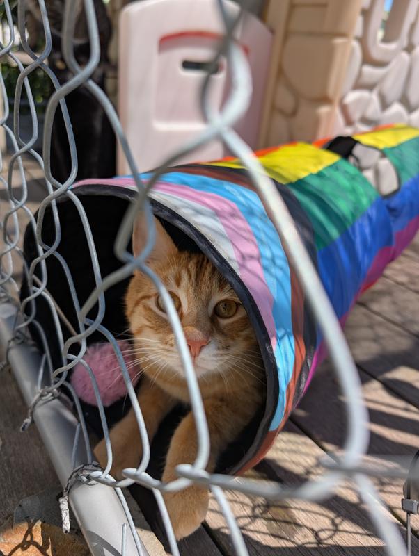 Hiding