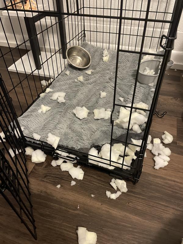 Pet Beds & Crate Mats: Average savings of 39% at Sierra