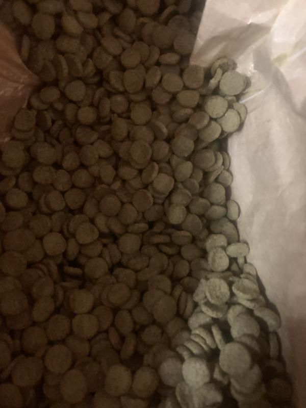 Kibble