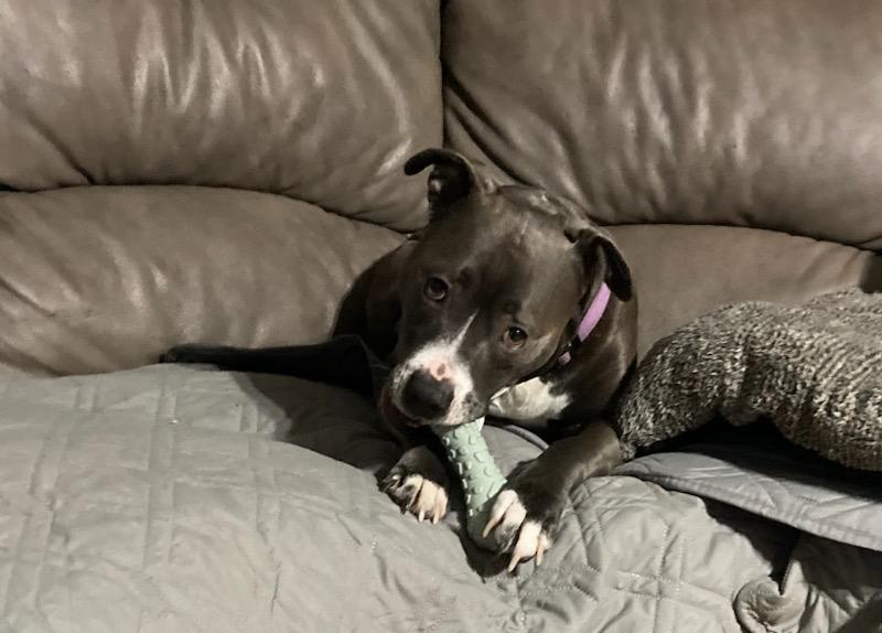 Easy to move and can hold it herself