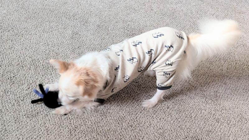 Photo - commentaire 4.