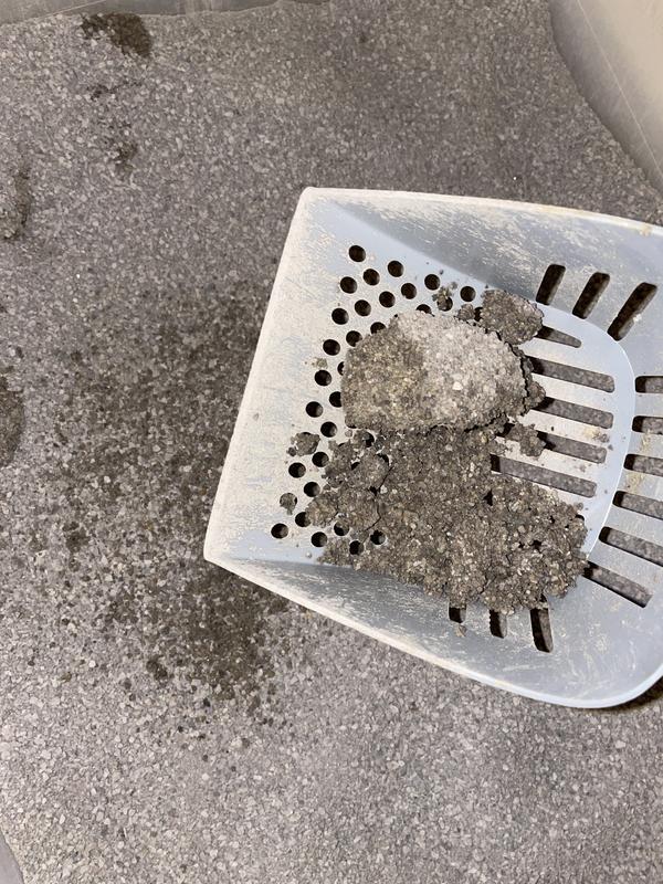 “Clump” of urine falls apart easily and cannot be scooped from box, causing constant odor