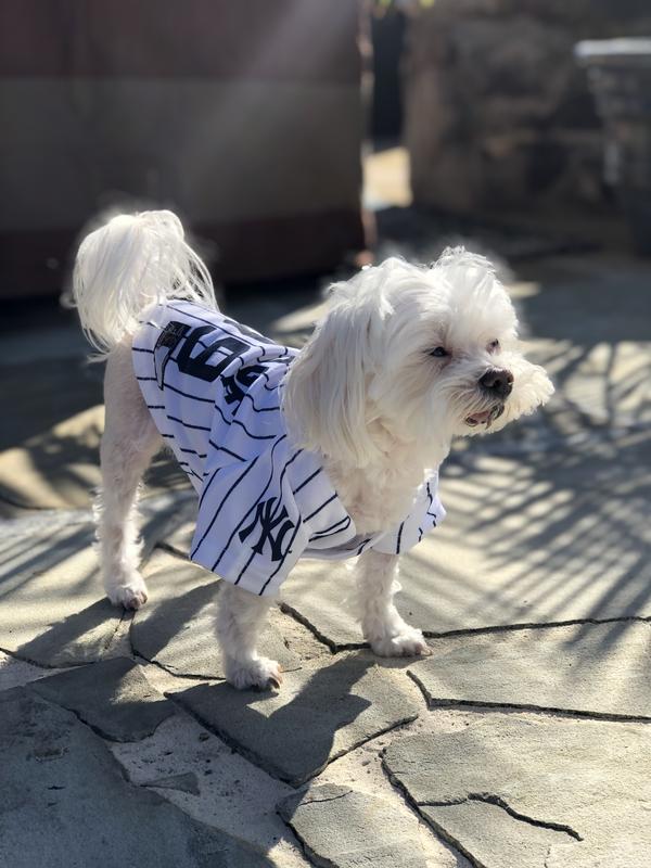 Pets First New York Yankees Throwback Small Dog Jersey | Petco