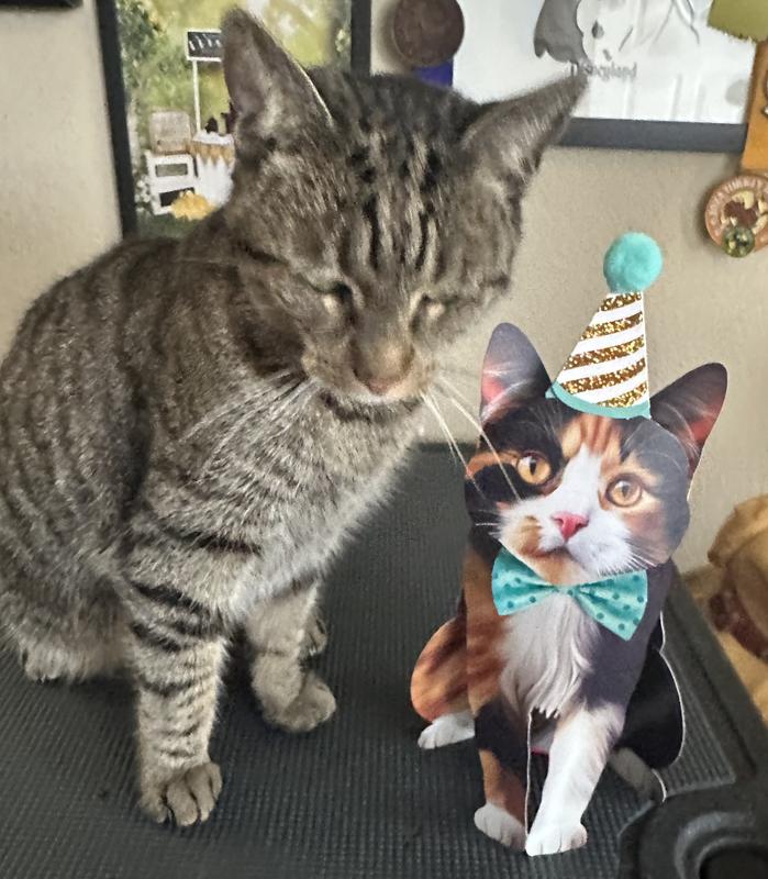 Which one is the card?