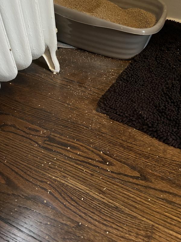 The tiny flakes of wood that get EVERYWHERE