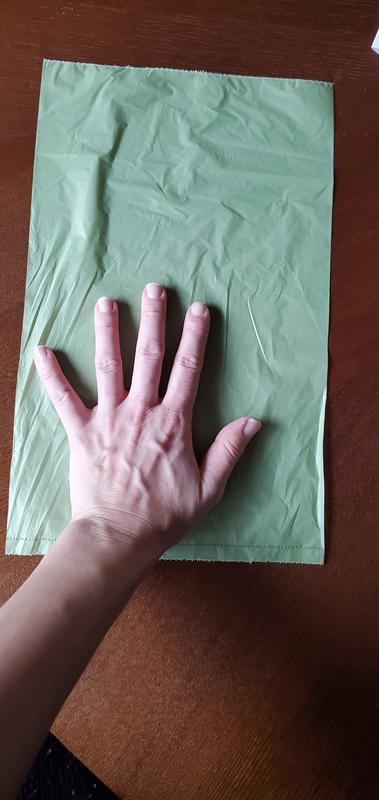 Here's a bag withbmy hand for scale.