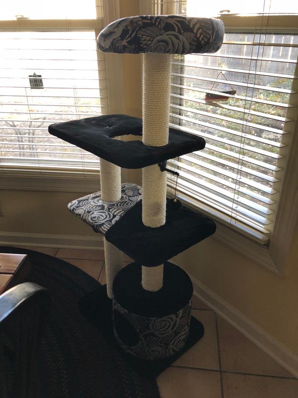 Midwest Cat Tree, Black, 50.5" H Petco