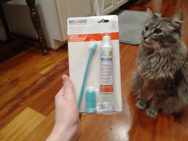 Petco hot sale cat toothpaste