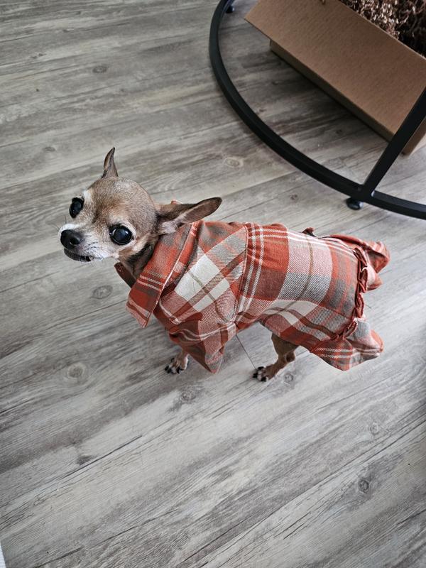 YOULY Plaid Asymmetrical Pet Dress, Orange Plaid, X-Small | Petco