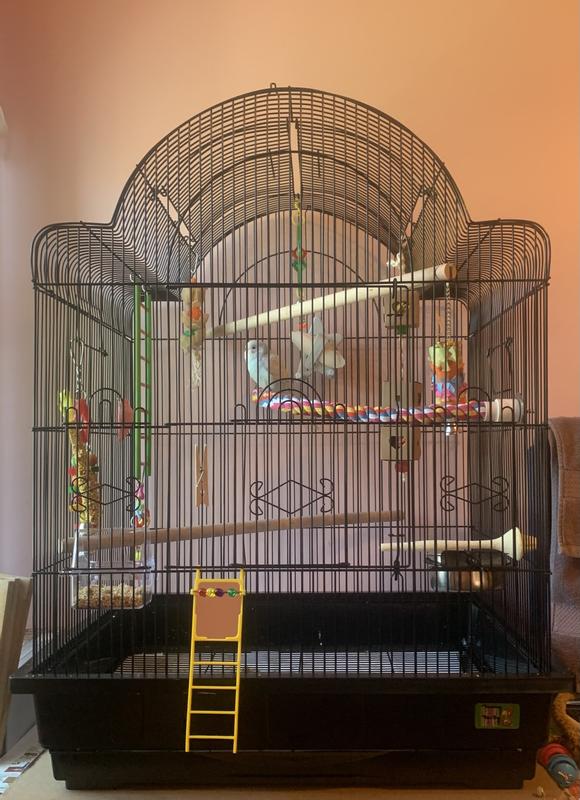 A E Victorian Small Bird Cage with Open Play Top