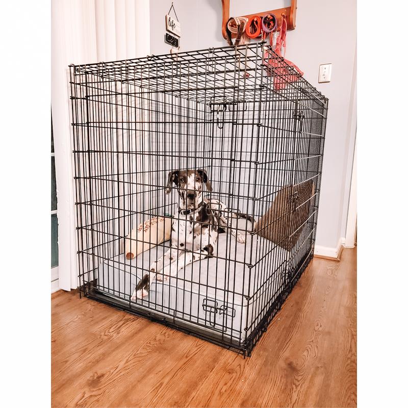 midwest solutions xxl dog crate